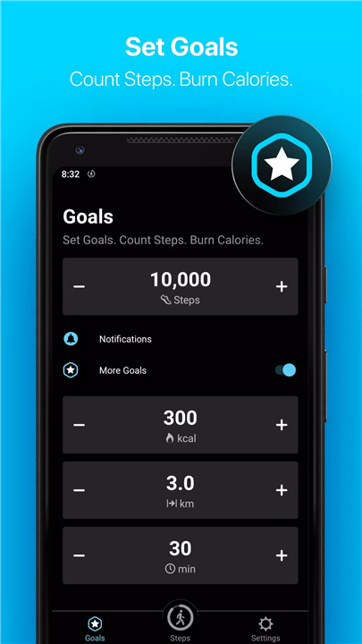 StepsApp screenshot