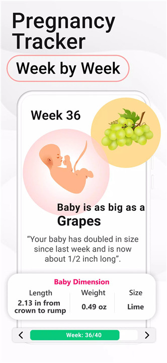 Pregnancy Calculator: Due Date screenshot