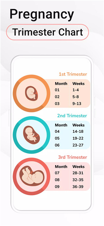 Pregnancy Calculator: Due Date screenshot