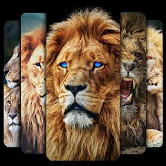 Lion Wallpaper