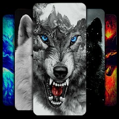 Wolf Wallpaper