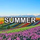 Four Seasons Wallpaper