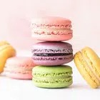 Macarons Wallpaper