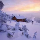Winter Wallpapers