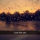 Rain Wallpaper