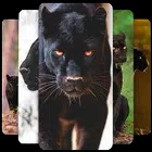 Panther Wallpaper