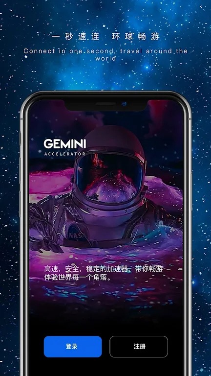 Gemini VPN screenshot