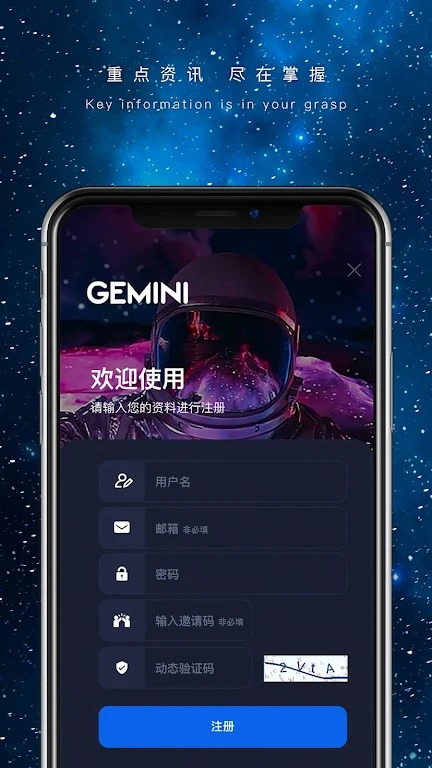 Gemini VPN screenshot