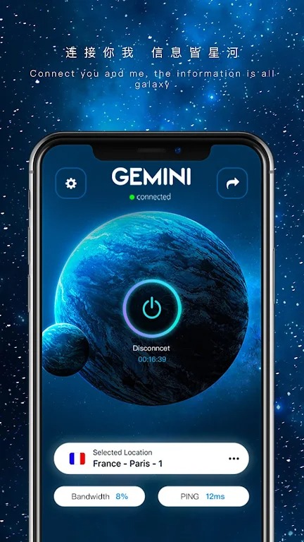 Gemini VPN screenshot