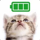 Cat Battery widget