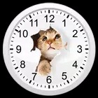 Cats Analog-Clocks Widget