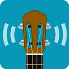 The Cavaquinho Tuner