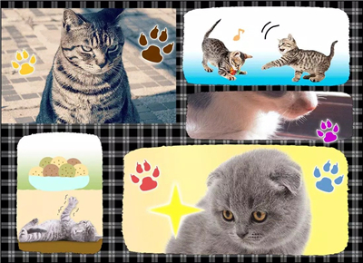 Cats Playing Card Games screenshot