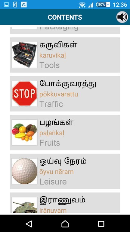 Learn Tamil - 50 languages screenshot