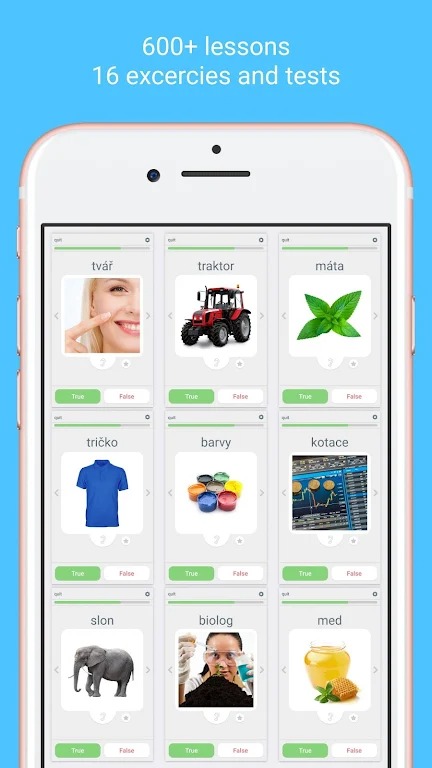 Learn Czech with LinGo Play screenshot