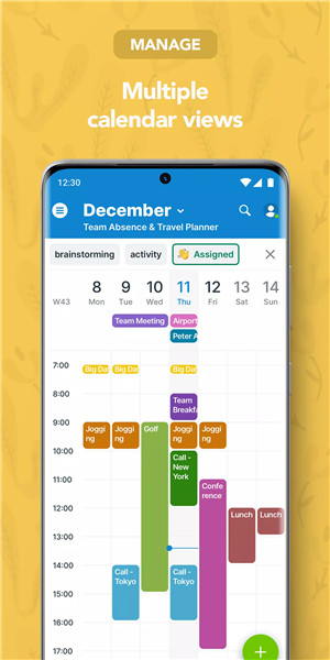 Teamup Calendar screenshot