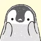 Cute wallpaper ANIMAL LIFE