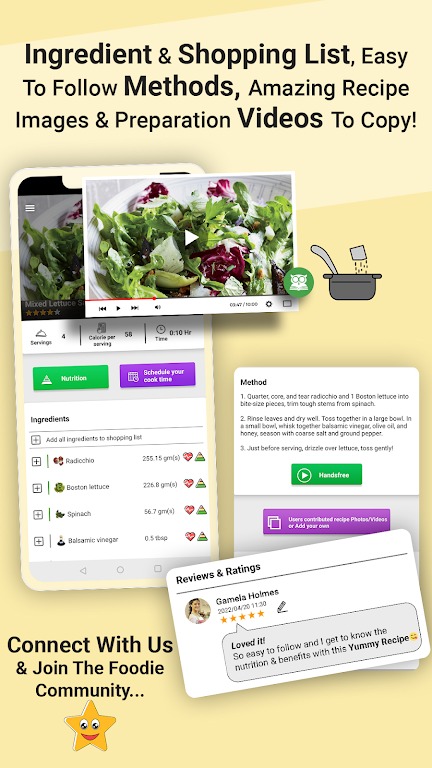 Salad Food Recipe Offline screenshot