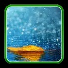 Rain Live Wallpapers