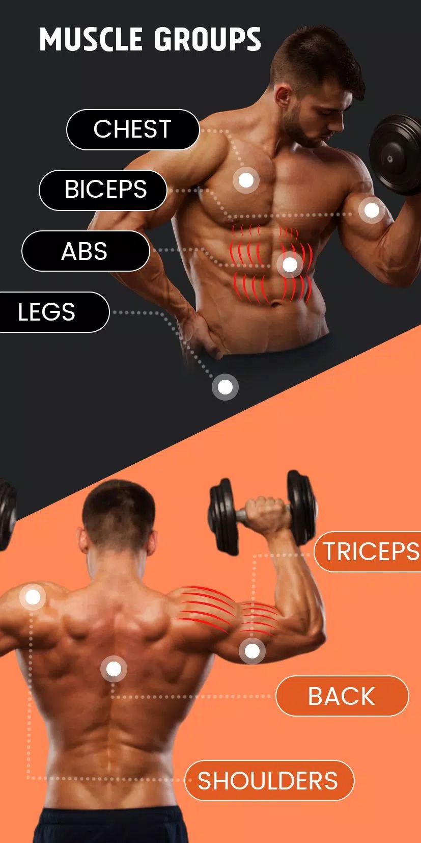 Home Fitness Dumbbell Workout screenshot