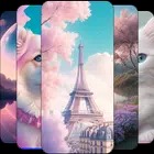Wallpapers and Backgrounds