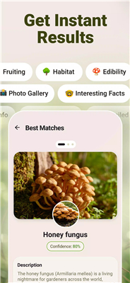 Mushroom ID screenshot