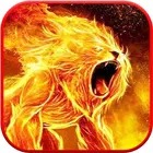 Lion Wallpaper HD