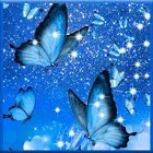 Butterfly Wallpapers