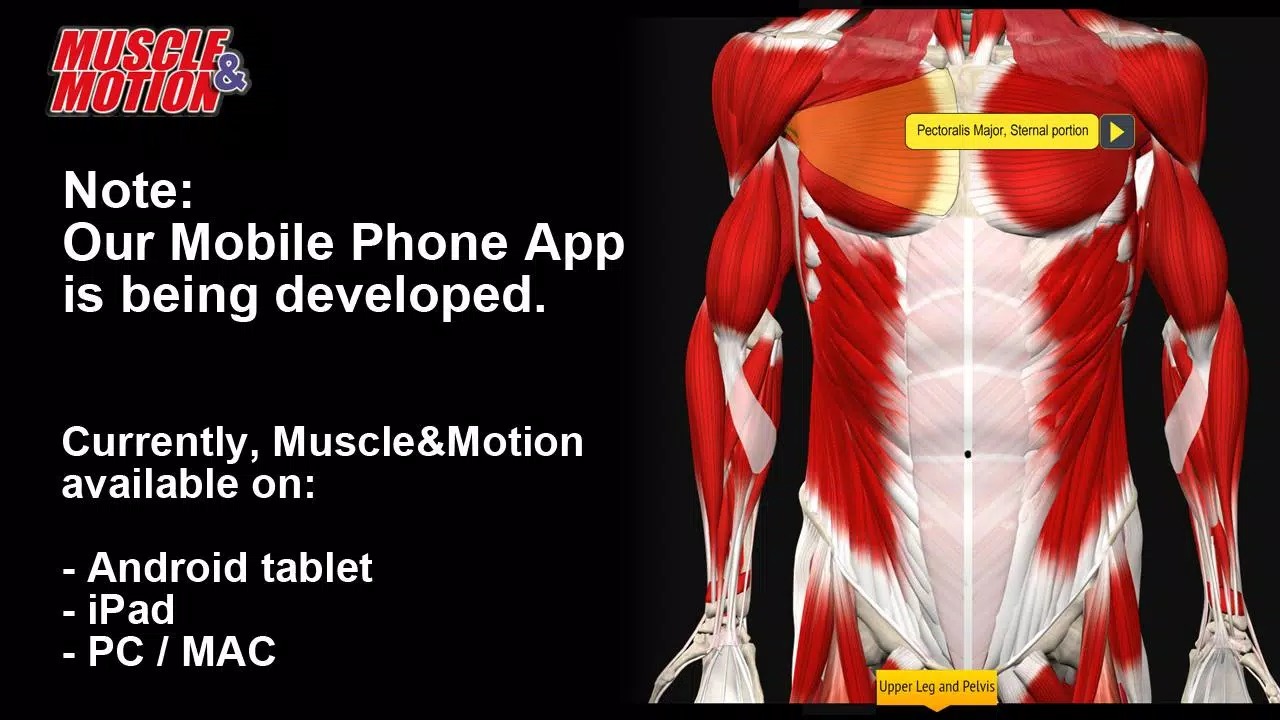 Muscle and Motion - Strength screenshot