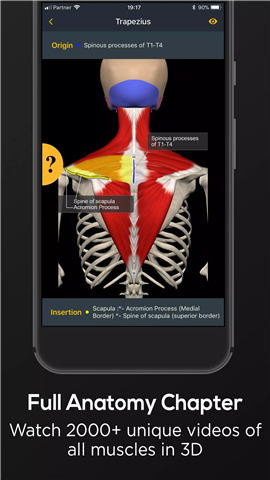 Posture by Muscle & Motion screenshot