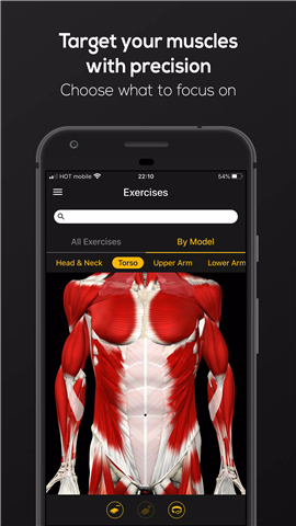 Strength by Muscle and Motion screenshot