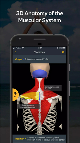 Yoga by Muscle & Motion screenshot