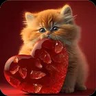 Cute Cat Wallpapers