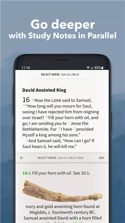 NKJV Bible App by Olive Tree screenshot