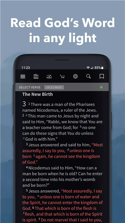 NKJV Bible App by Olive Tree screenshot