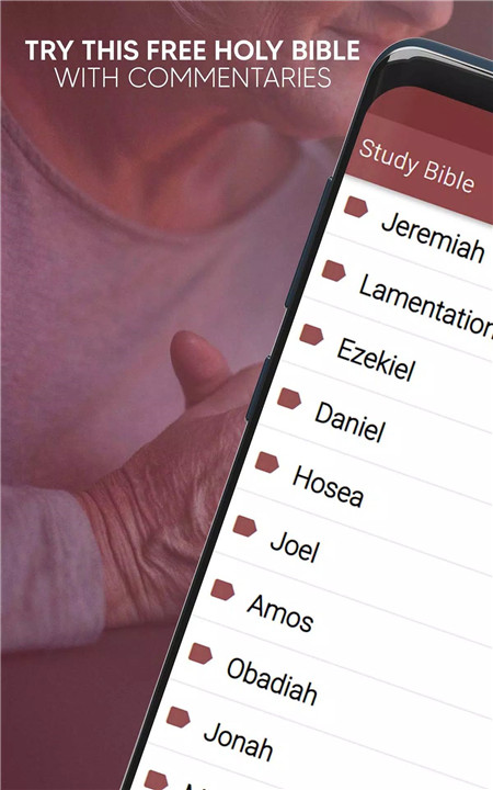 Study Bible Commentary screenshot