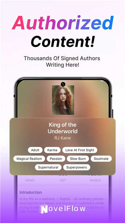 NovelFlow screenshot