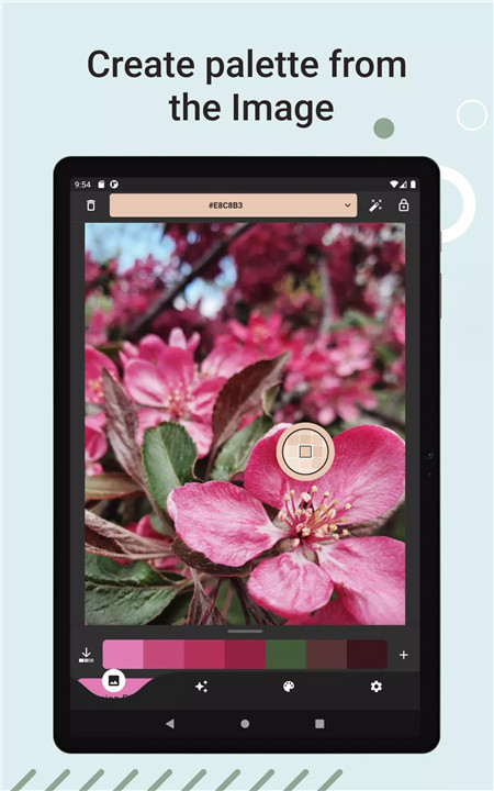 Color Picker & Generator screenshot