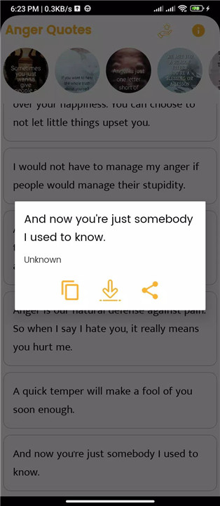 Anger Quotes screenshot