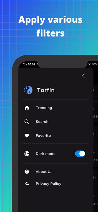 Torfin screenshot