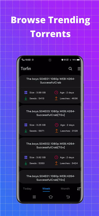 Torfin screenshot