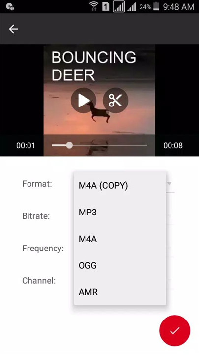 Video to Audio screenshot