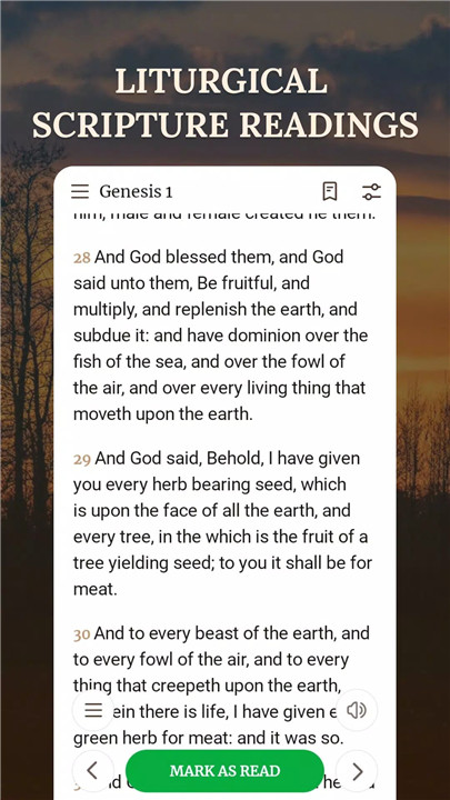 My Daily Bible screenshot