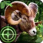 Wild Hunter 3D