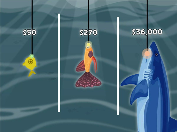 Fish Catching - Cat Fish Game screenshot