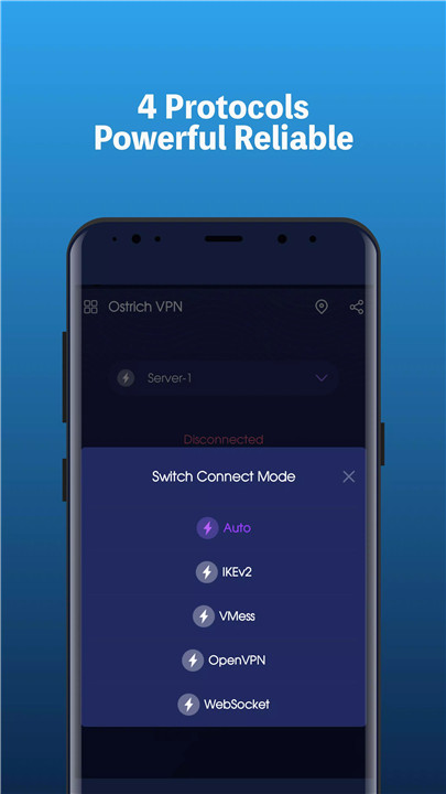 Ostrich VPN screenshot