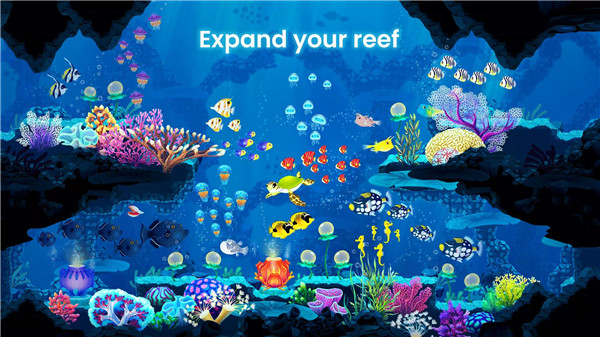 Splash: Fish Sanctuary screenshot