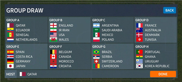 World Football Simulator screenshot