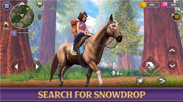 Star Equestrian - Horse Ranch screenshot