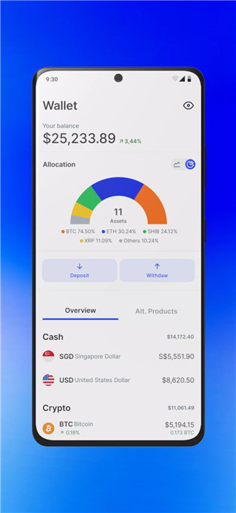 Coinhako screenshot